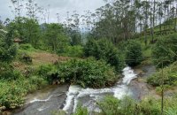 Mixed Estate For Sale In Agra Oya Road Watawala