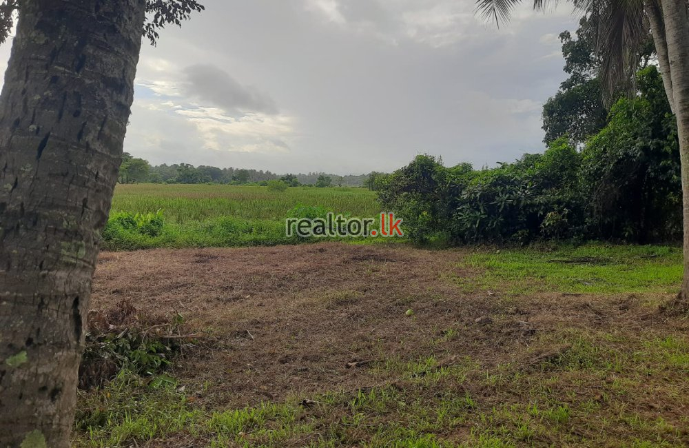 Land For Sale At Katunayake Rd Peellawatta