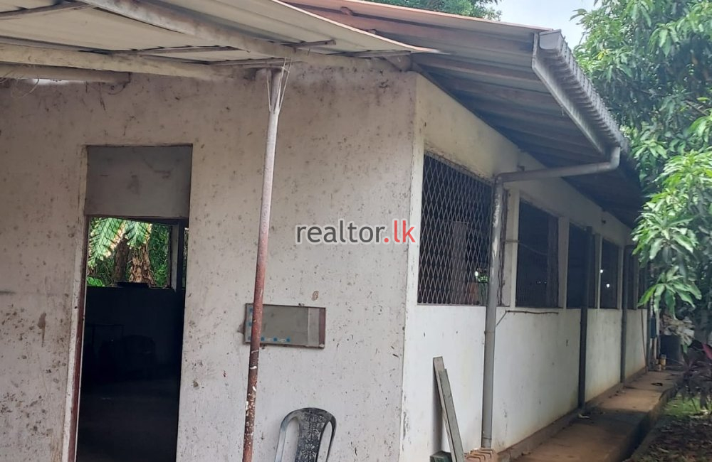 Factory For Sale At Kurunegala Pilessa