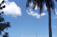 Beachfront Land For Sale In Kahandamodara Ranna