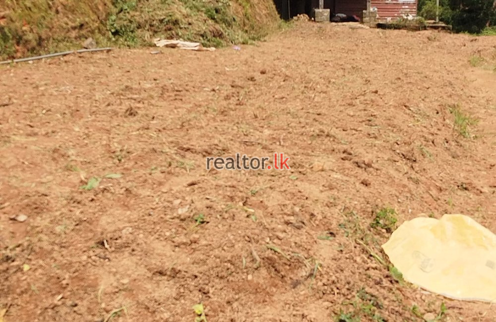 Agricultural Land For Sale In Nuwara Eliya