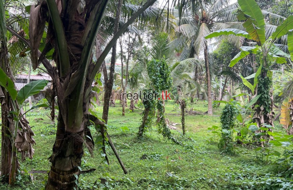 Land For Sale Facing Main Road Ja-Ela