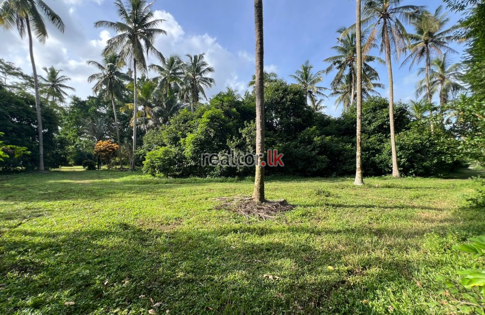 Land For Sale In Pannala