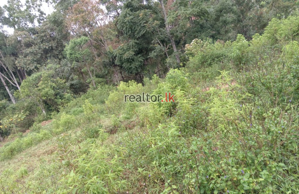 Land For Sale At Aththalapitiya Rd Bandarawela