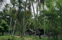 Coconut Estate For Sale At Kuliyapitiya