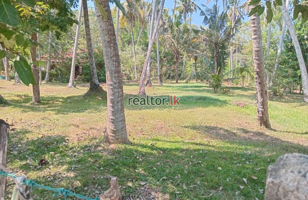 Beach Land For Sale At Hiriketiya