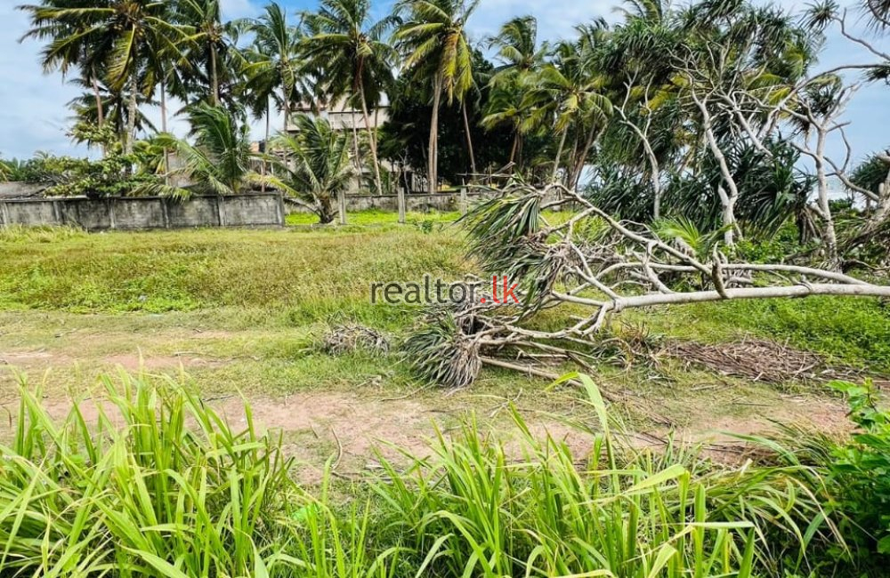 Beachfront Land For Sale At Athuruwella Bentota