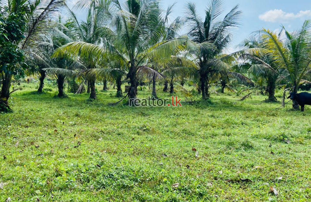 Land For Sale At Ranala