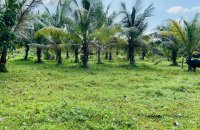 Land For Sale At Ranala
