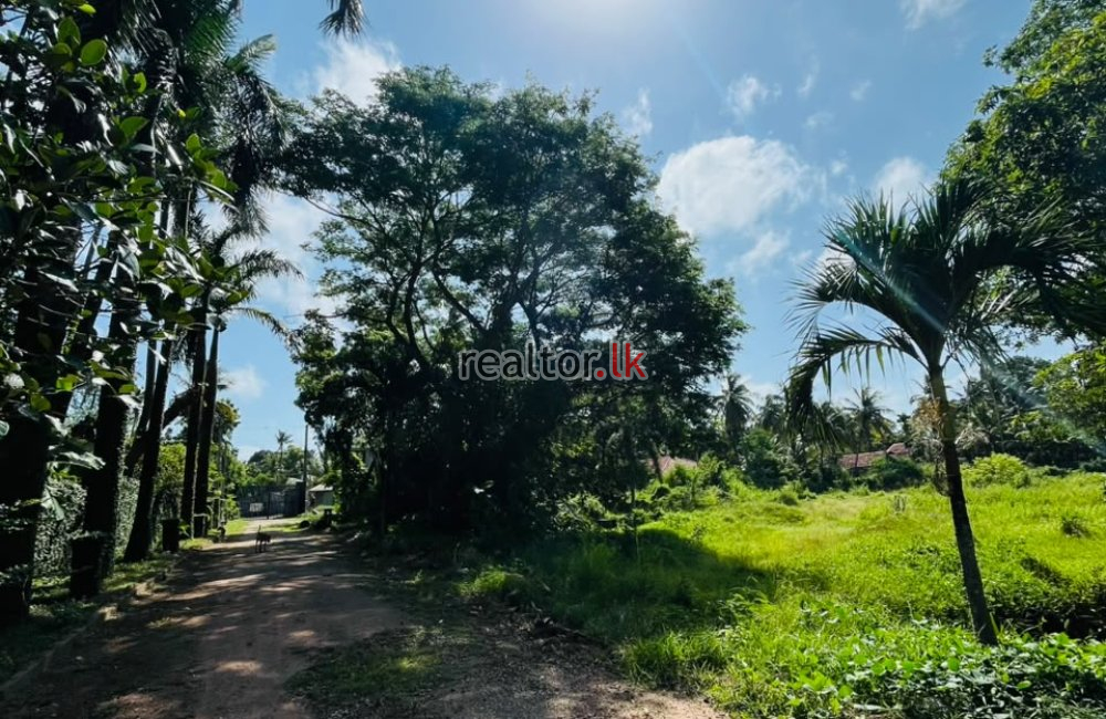 Riverfront Land For Sale In Wennappuwa