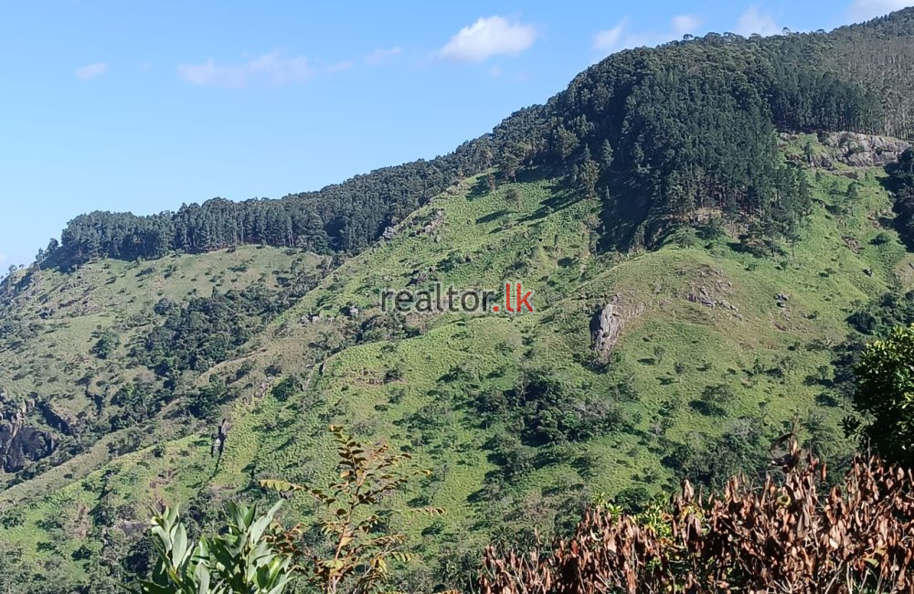 Mountain View Land For Sale In Bambaragama