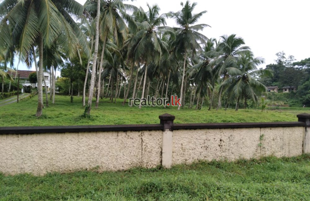 Mix Plant For Sale With A Bungalow Katugahahena