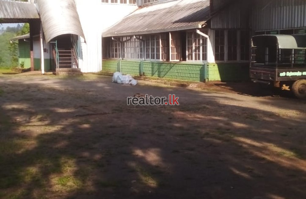 Tea Factory For Sale In Malgolla