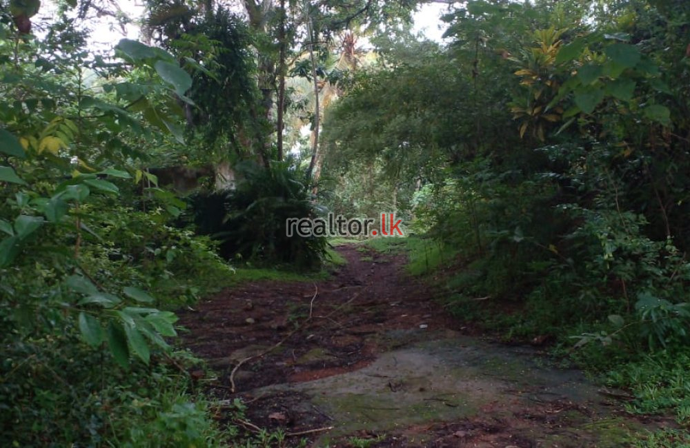 Facing Bolgoda Lake Land For Sale