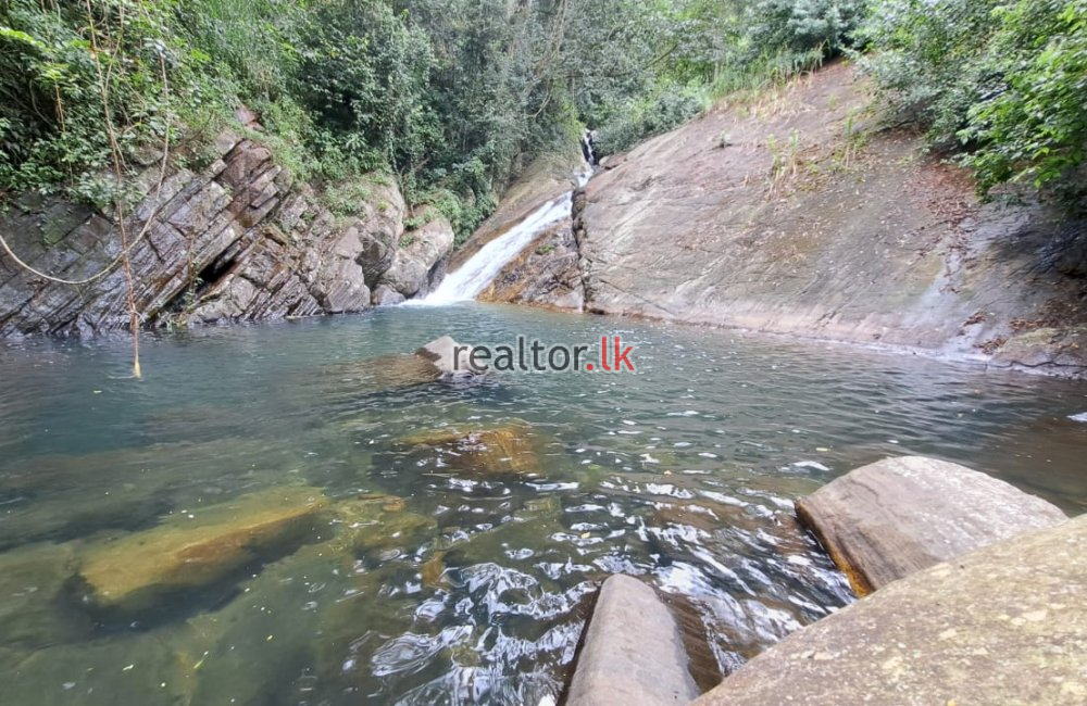 Tea Estate With Bungalow For Sale In Wattegama