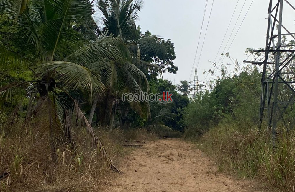 Industrial Land For Rent Adjoining Katunayake FTZ