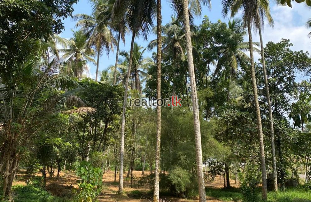 Land For Sale In Watareka Padukka