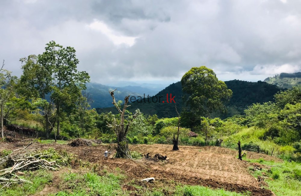 Mountain View Land For Sale In Ella