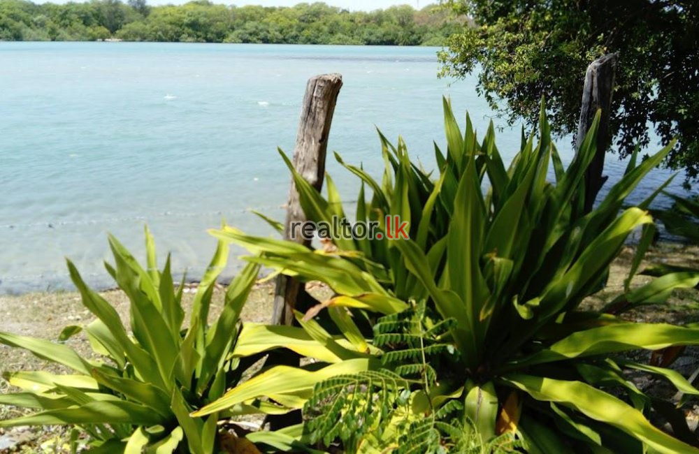 Beachfront Land For Sale In Thakkandi Nilaweli