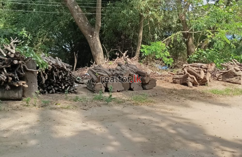 Land for Sale at Mahaweli River Front Gurudeniya