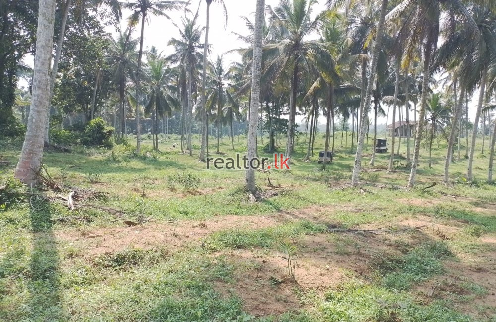 Facing Malagala Main Rd Land For Sale In Padukka