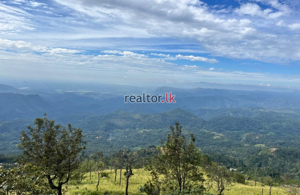 Mountain View Land For Sale At Beragala Haputale