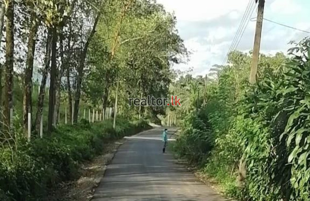 Tea Estate & Quartz Rock For Sale Bulathsinhala