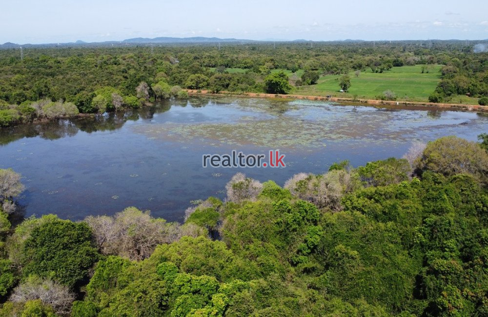 Lakefront Land For Sale At Sigiriya