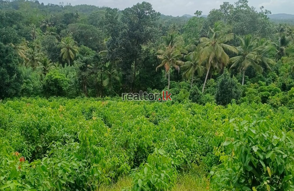 Land For Sale At Ahangama Galle