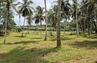 Land For Sale Facing Handapangoda Road Horana