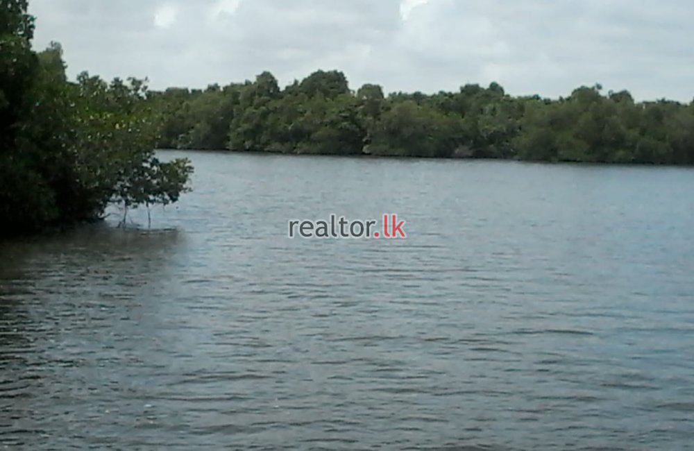 Madu River Facing Land For Sale Balapitiya