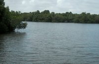 Madu River Facing Land For Sale Balapitiya