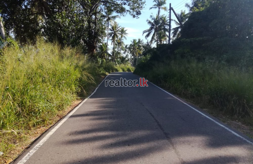 45 Acres Coconut Estate For Sale In Dankotuwa