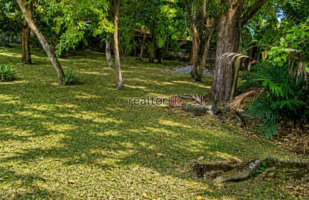 Land For Sale In Ramasinghe Mawatha Kiribathgoda