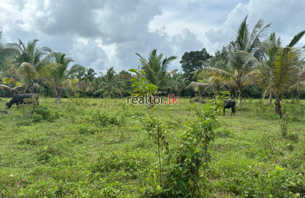 Bare Land For Sale In Kaduwela