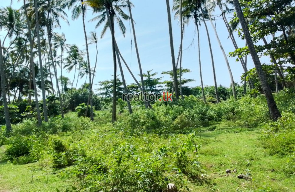 Land For Sale At Kalutara