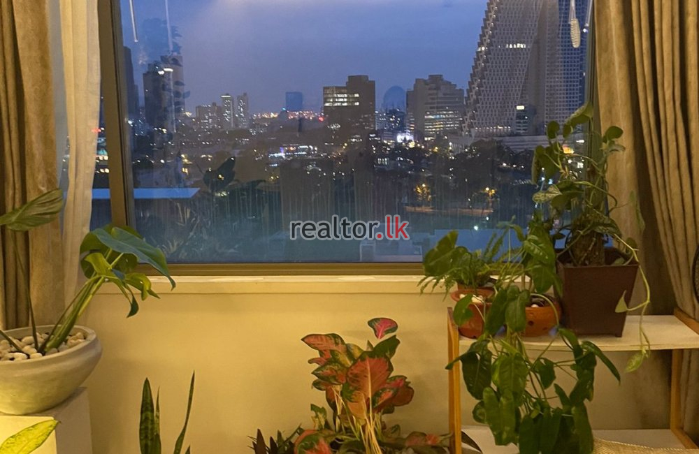 Luxury One Bed Duplex At Capitol Residencies