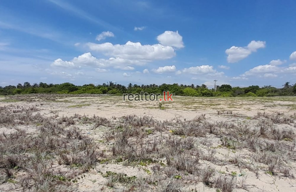 Land For Sale At Sangamankanda