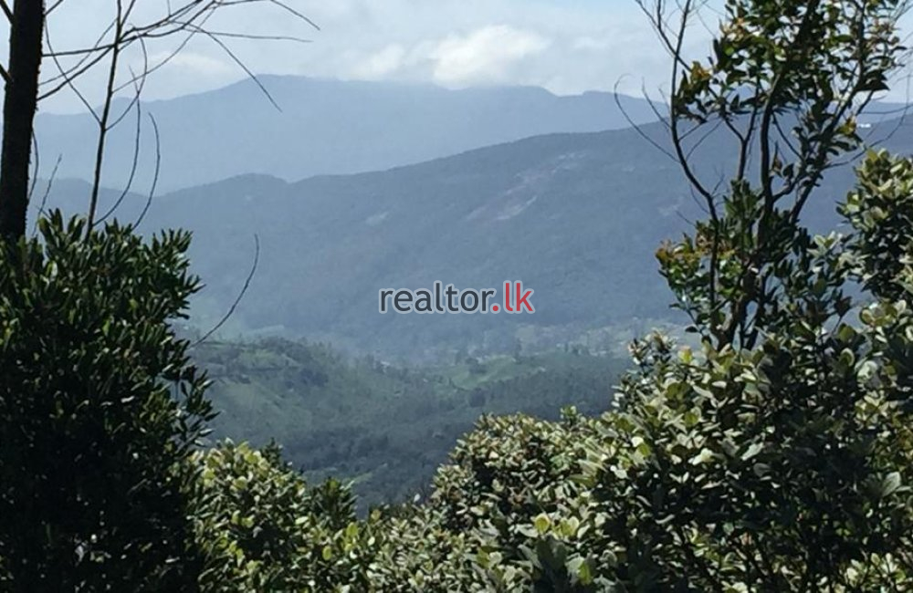 Land For Sale In  MTV Tower Road Nuwara Eliya