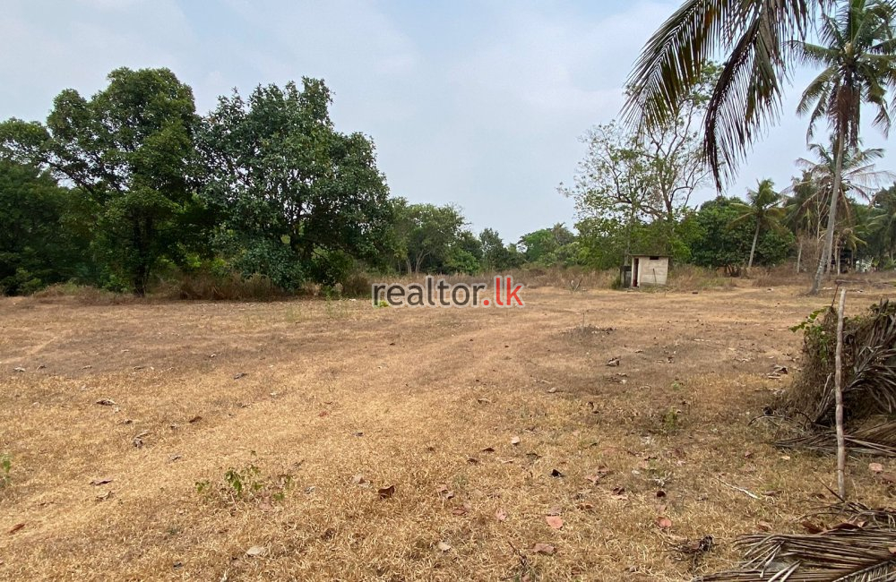 Industrial Land For Rent Adjoining Katunayake FTZ