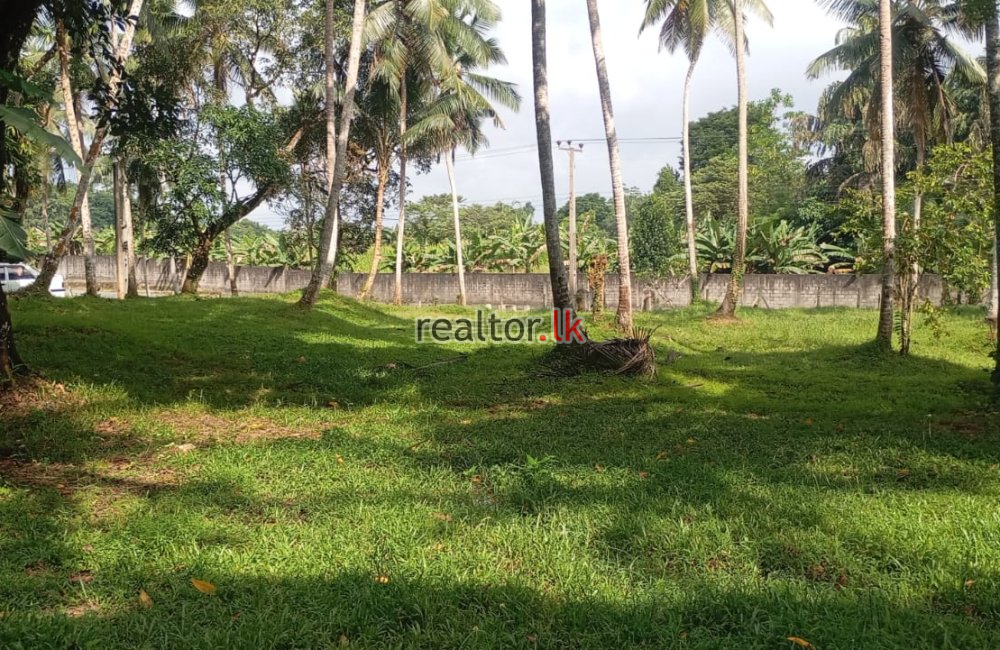 Land For Sale Facing Poruwadanda Rd Horana