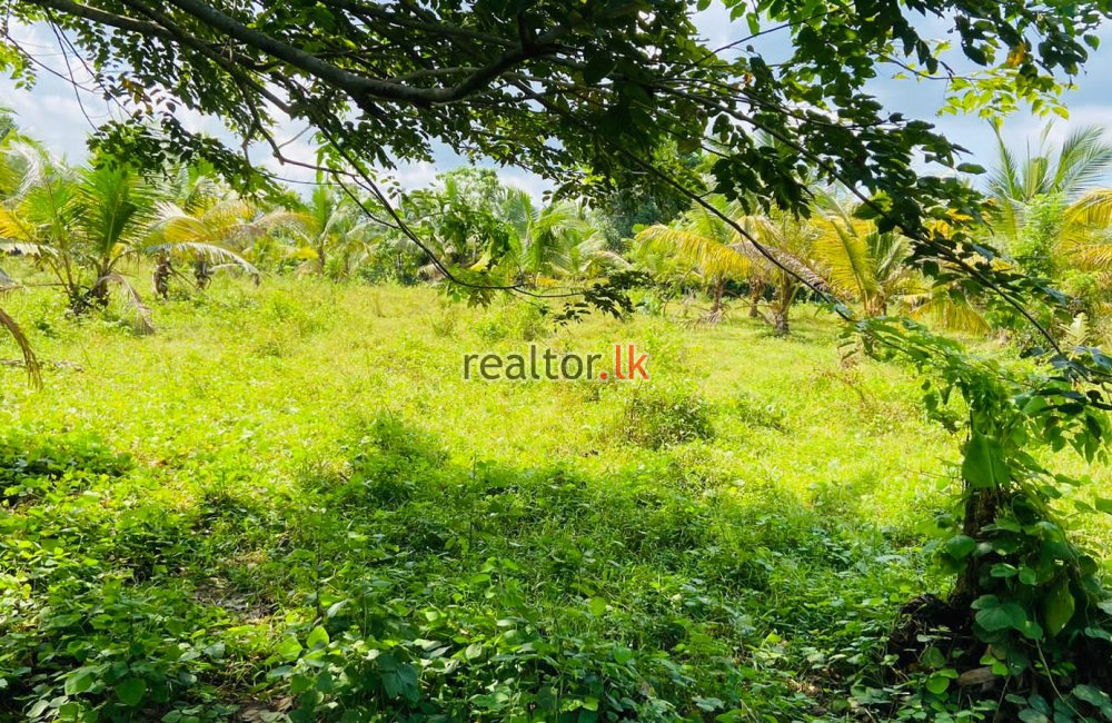 Land For Sale At Ranala