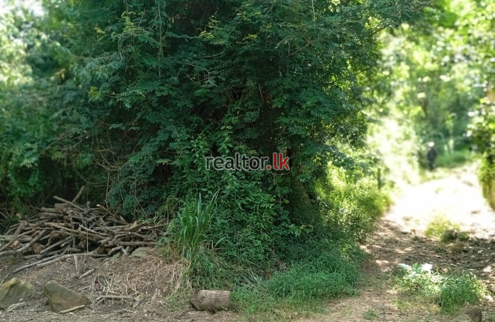 Land for Sale at Mahaweli River Front Gurudeniya