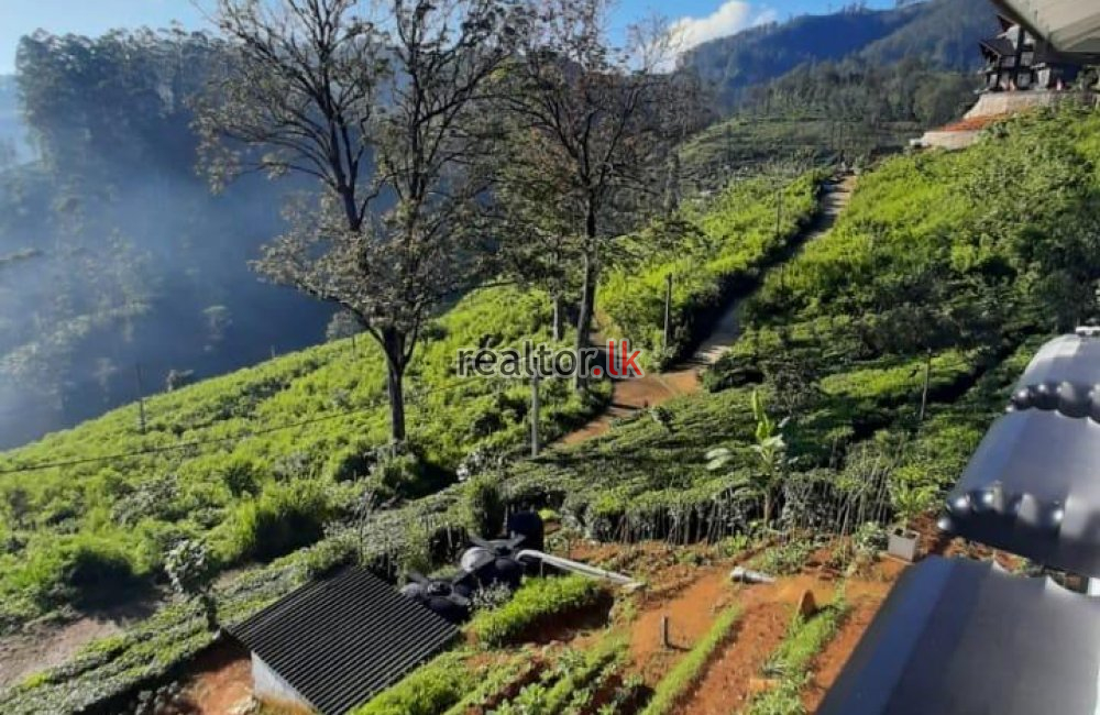 Bungalow For Sale In Nuwara Eliya