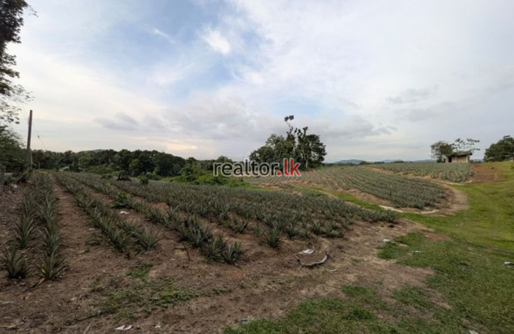 Land For Sale In Rathmalgoda Road Yatawathura