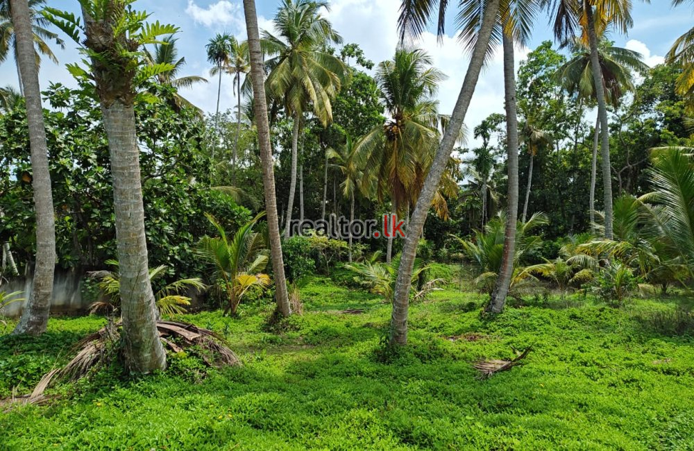 Land For Sale Facing Koggala Lake