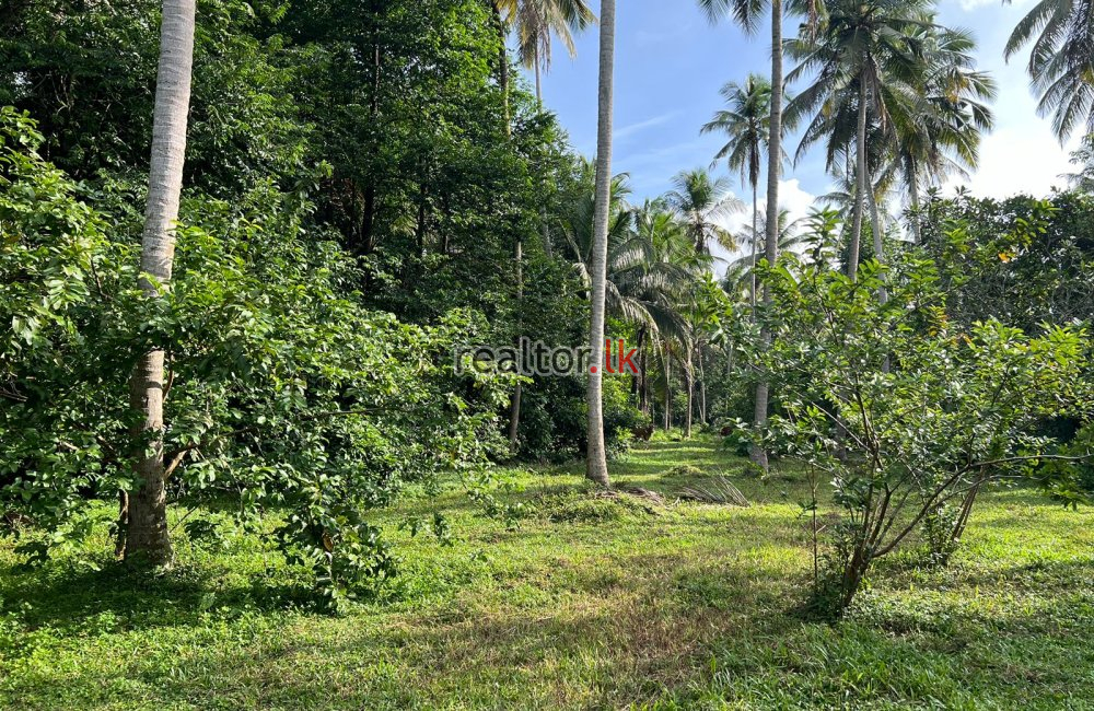 Land For Sale In Pannala