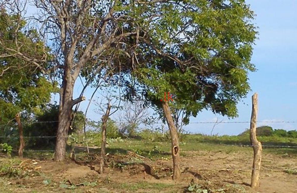 Arugam Bay Land For Sale