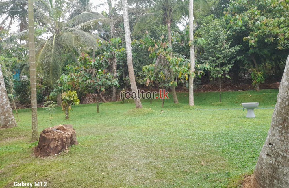 82.5 Acres Mixed Plant Estate For Sale At Matale