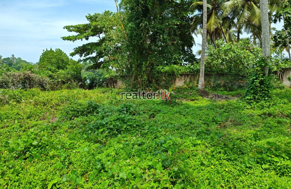 Land For Sale Facing Koggala Lake